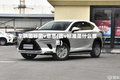 车辆国标国v意思(国v标准是什么意思)