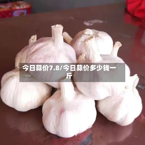 今日蒜价7.8/今日蒜价多少钱一斤