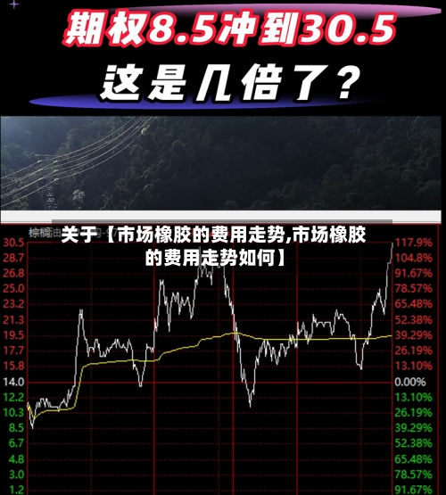 关于【市场橡胶的费用走势,市场橡胶的费用走势如何】