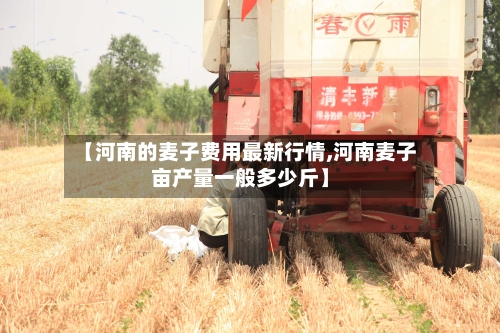 【河南的麦子费用最新行情,河南麦子亩产量一般多少斤】-第2张图片