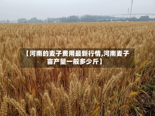 【河南的麦子费用最新行情,河南麦子亩产量一般多少斤】