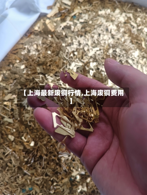 【上海最新废铜行情,上海废铜费用】-第2张图片
