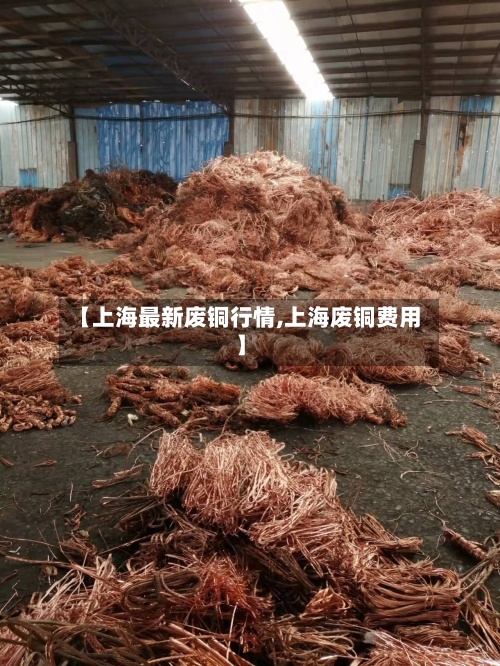 【上海最新废铜行情,上海废铜费用】-第3张图片