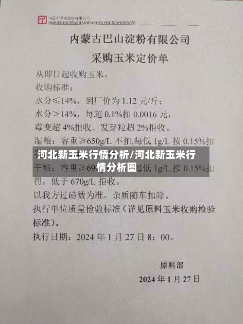河北新玉米行情分析/河北新玉米行情分析图