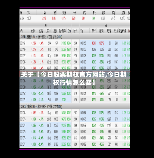 关于【今日股票期权官方网站,今日期权行情怎么买】