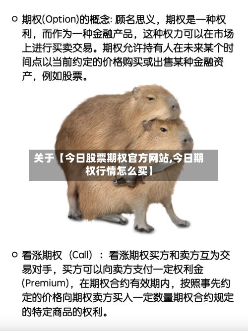 关于【今日股票期权官方网站,今日期权行情怎么买】-第3张图片