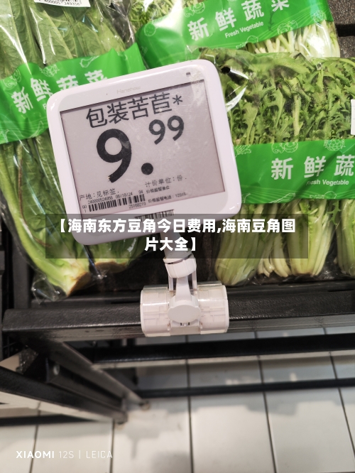 【海南东方豆角今日费用,海南豆角图片大全】-第2张图片