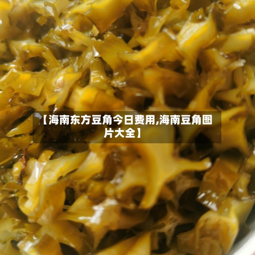 【海南东方豆角今日费用,海南豆角图片大全】-第3张图片