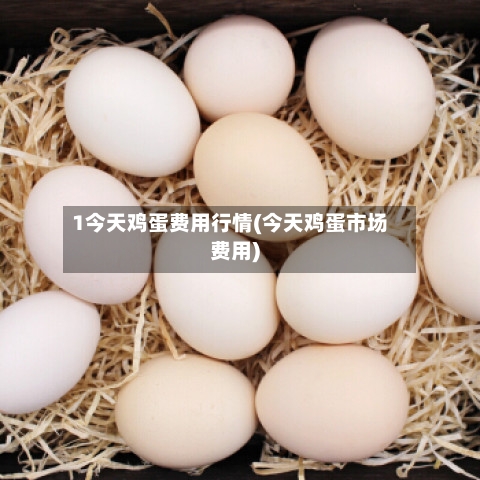 1今天鸡蛋费用行情(今天鸡蛋市场费用)-第2张图片