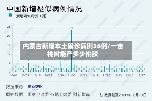 内蒙古新增本土确诊病例36例/一亩桃树能产多少桃胶-第2张图片