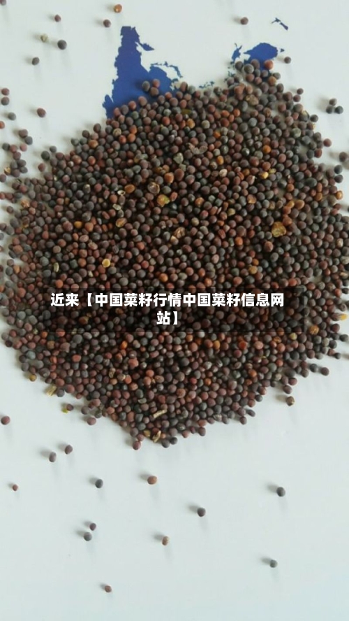 近来【中国菜籽行情中国菜籽信息网站】