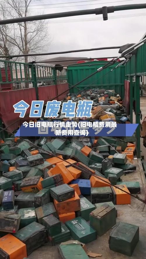 今日旧电瓶行情走势(旧电瓶费用最新费用查询)-第2张图片