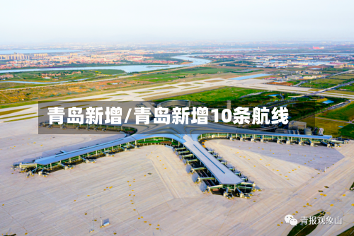 青岛新增/青岛新增10条航线-第3张图片