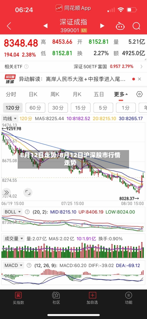 8月12日走势/8月12日沪深股市行情走势-第3张图片