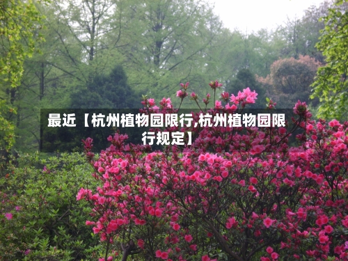 最近【杭州植物园限行,杭州植物园限行规定】-第3张图片