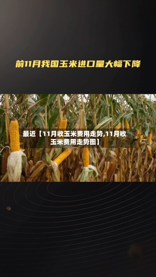最近【11月收玉米费用走势,11月收玉米费用走势图】-第2张图片