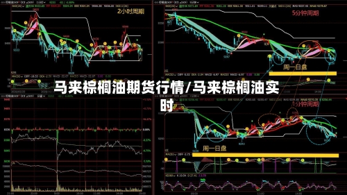马来棕榈油期货行情/马来棕榈油实时