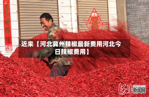 近来【河北冀州辣椒最新费用河北今日辣椒费用】-第2张图片