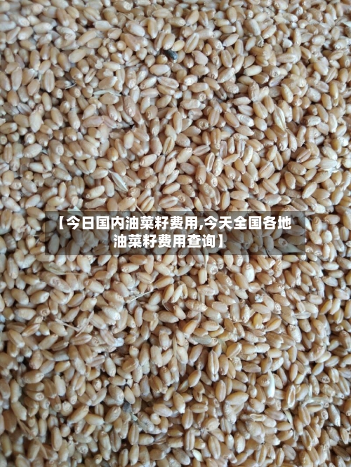 【今日国内油菜籽费用,今天全国各地油菜籽费用查询】