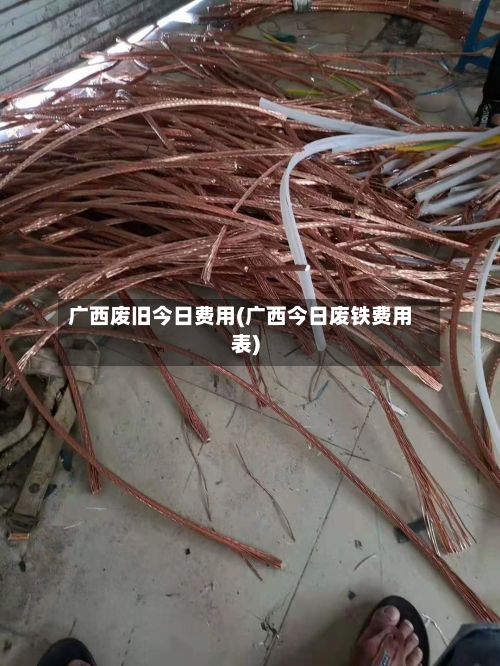 广西废旧今日费用(广西今日废铁费用表)-第2张图片