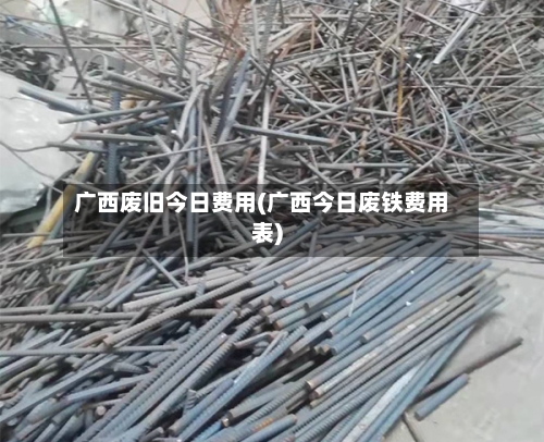 广西废旧今日费用(广西今日废铁费用表)