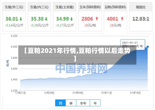 【豆粕2021年行情,豆粕行情以后走势】-第2张图片