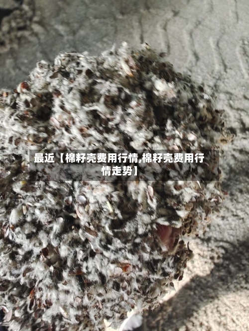 最近【棉籽壳费用行情,棉籽壳费用行情走势】