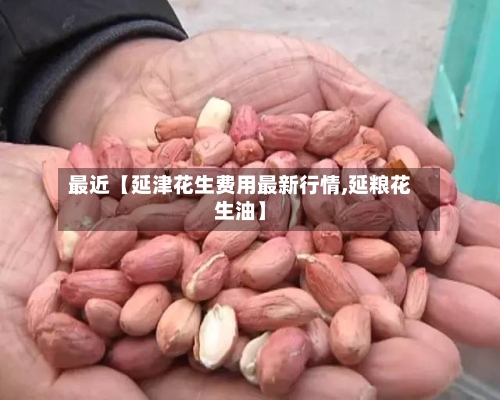 最近【延津花生费用最新行情,延粮花生油】