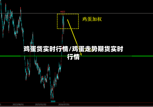 鸡蛋货实时行情/鸡蛋走势期货实时行情