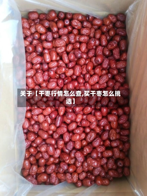 关于【干枣行情怎么查,买干枣怎么挑选】