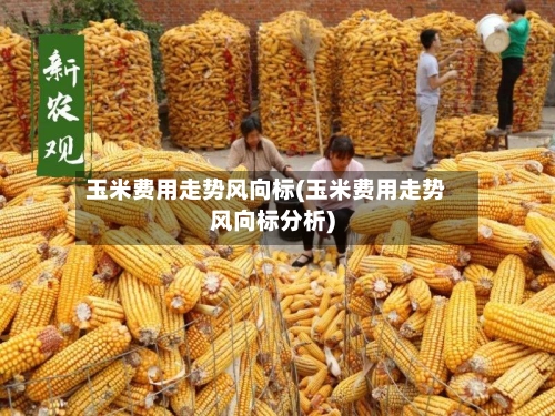 玉米费用走势风向标(玉米费用走势风向标分析)