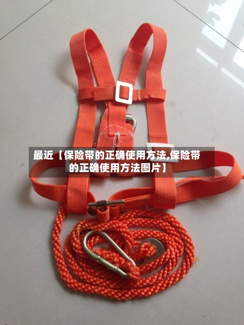 最近【保险带的正确使用方法,保险带的正确使用方法图片】