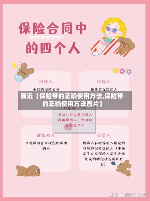 最近【保险带的正确使用方法,保险带的正确使用方法图片】-第2张图片