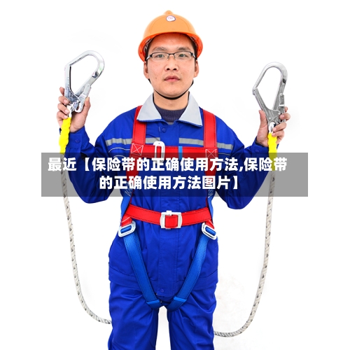 最近【保险带的正确使用方法,保险带的正确使用方法图片】-第3张图片