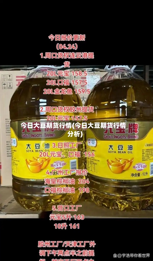 今日大豆期货行情(今日大豆期货行情分析)