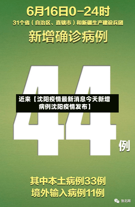 近来【沈阳疫情最新消息今天新增病例沈阳疫情发布】-第2张图片