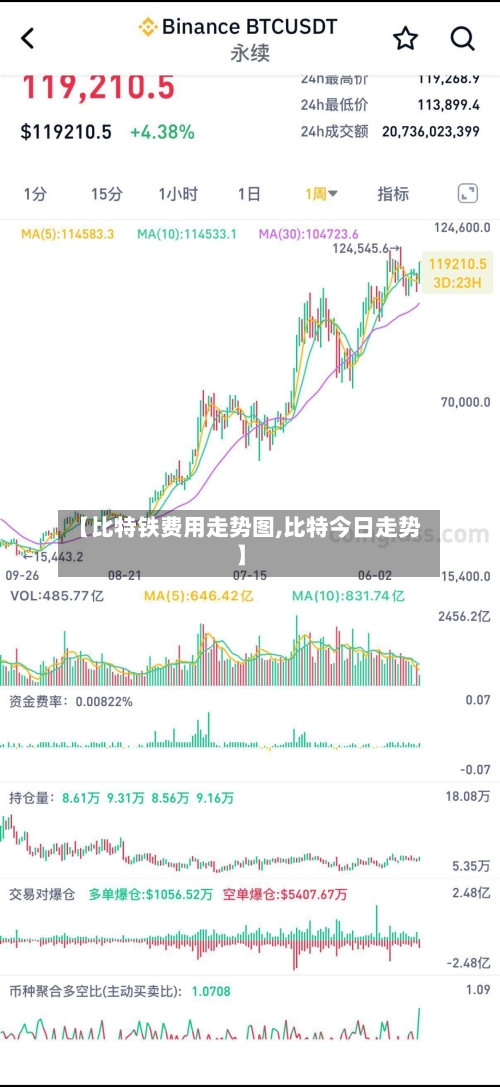 【比特铁费用走势图,比特今日走势】
