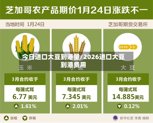 今日进口大豆到港量/2026进口大豆到港费用