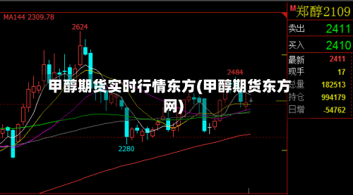 甲醇期货实时行情东方(甲醇期货东方网)