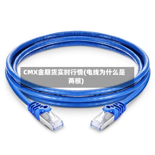 CMX金期货实时行情(电线为什么是两根)-第2张图片
