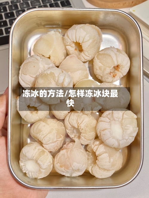 冻冰的方法/怎样冻冰块最快
