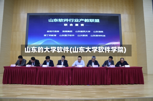 山东的大学软件(山东大学软件学院)-第3张图片