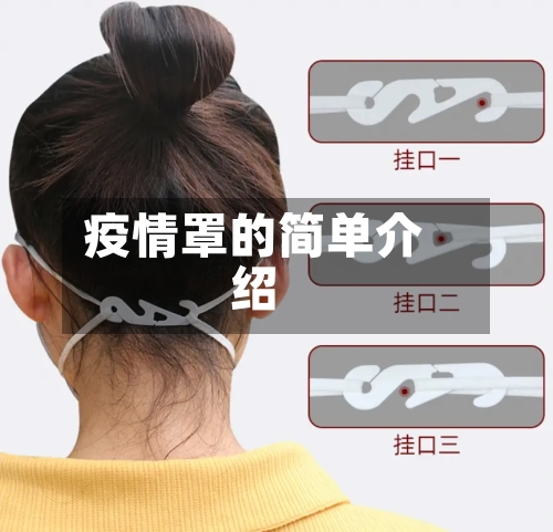 疫情罩的简单介绍-第2张图片