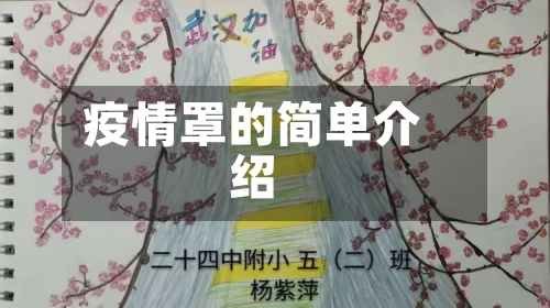 疫情罩的简单介绍