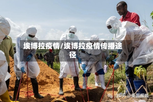 埃博拉疫情/埃博拉疫情传播途径