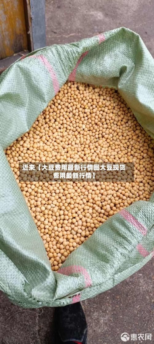 近来【大豆费用最新行情图大豆现货费用最新行情】