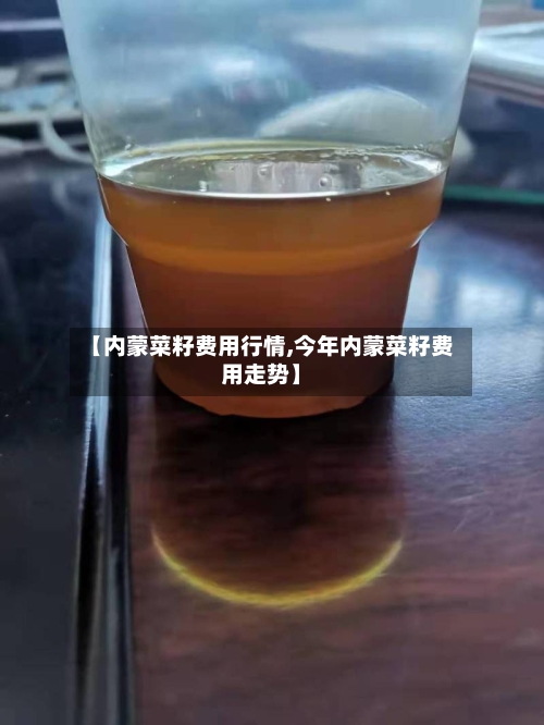 【内蒙菜籽费用行情,今年内蒙菜籽费用走势】