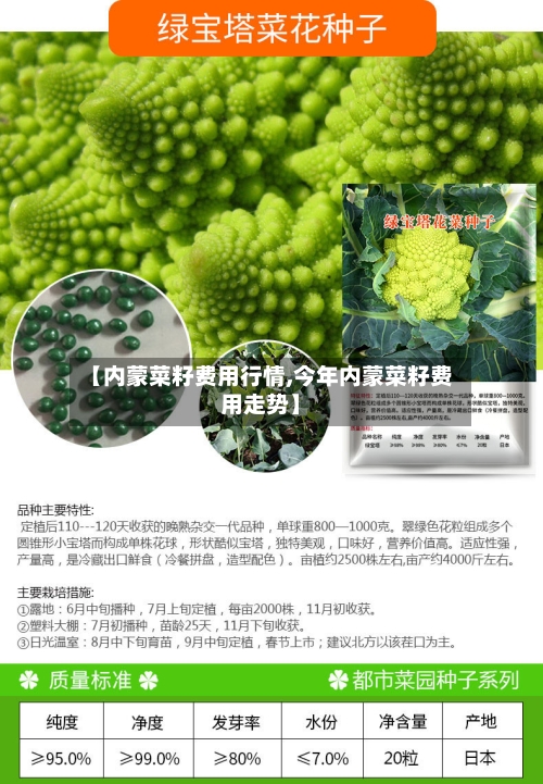 【内蒙菜籽费用行情,今年内蒙菜籽费用走势】-第2张图片