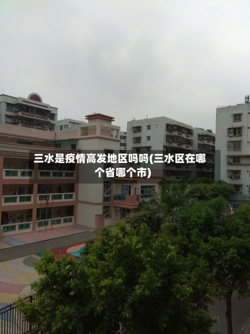 三水是疫情高发地区吗吗(三水区在哪个省哪个市)-第3张图片
