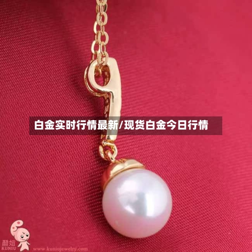 白金实时行情最新/现货白金今日行情